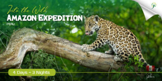 Into the Wild: Amazon Expedition