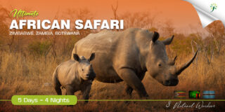 Ultimate African Safari